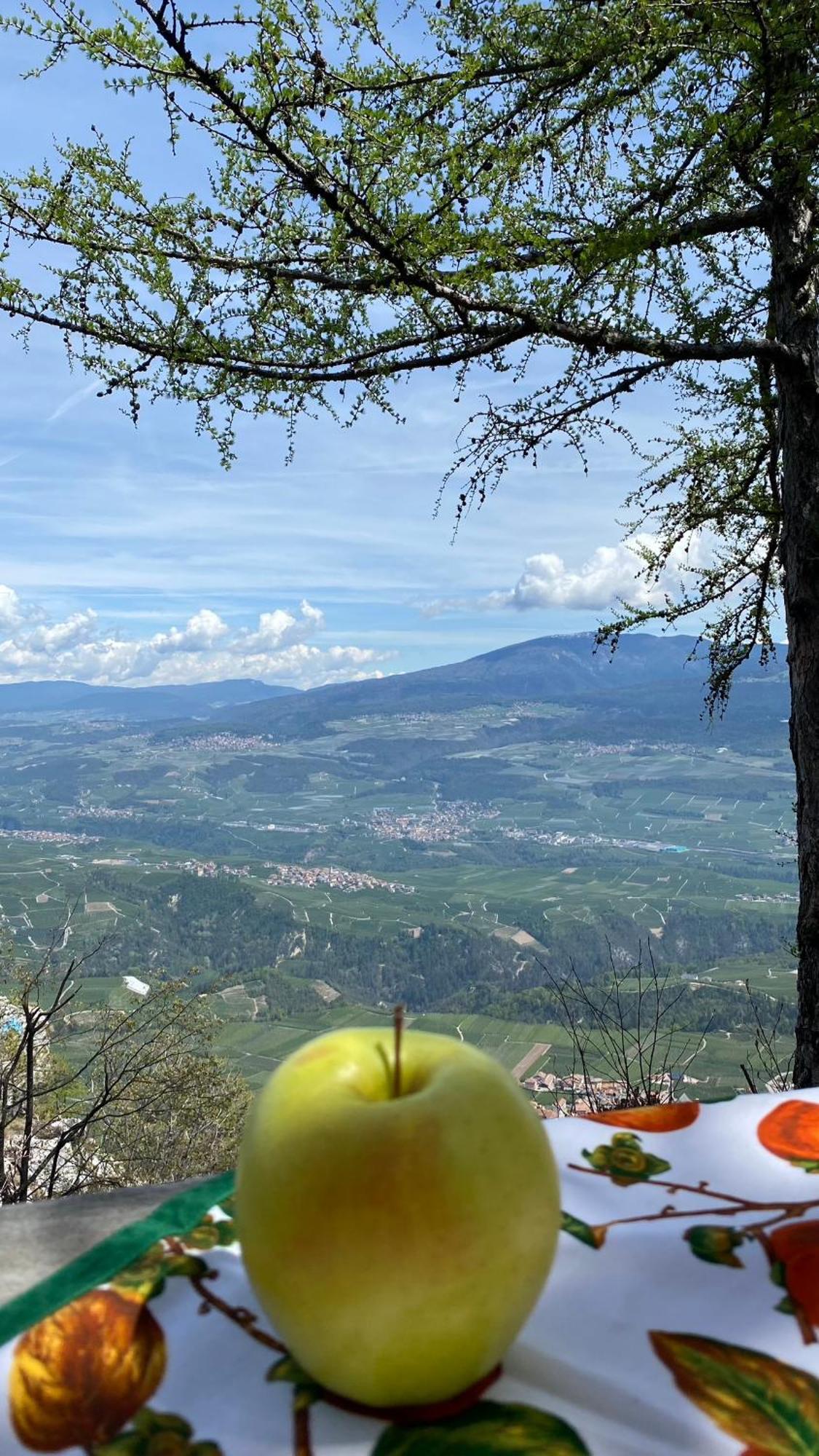 Agritur La Crucola Villa Flavon Eksteriør bilde